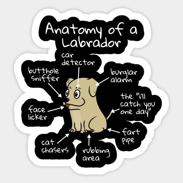 The Anatomy of a Labrador Sticker by blacklines